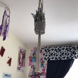 COPY - macrame plant hanger for room! 🌿